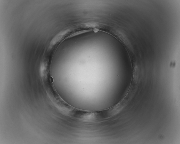 X0000113640116200910021926