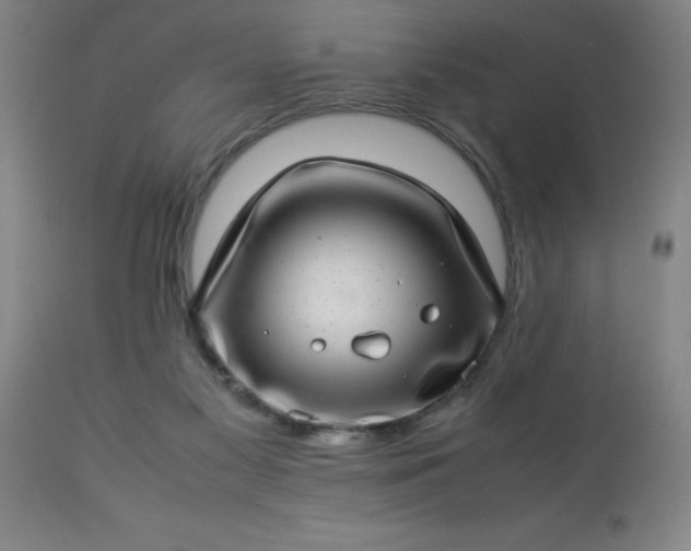 X0000113640117200910021926