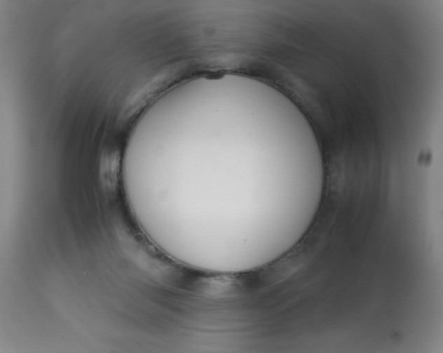 X0000113640118200910021926