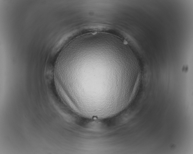 X0000113640119200910021926