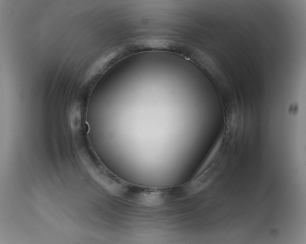 X0000113640120200910021926