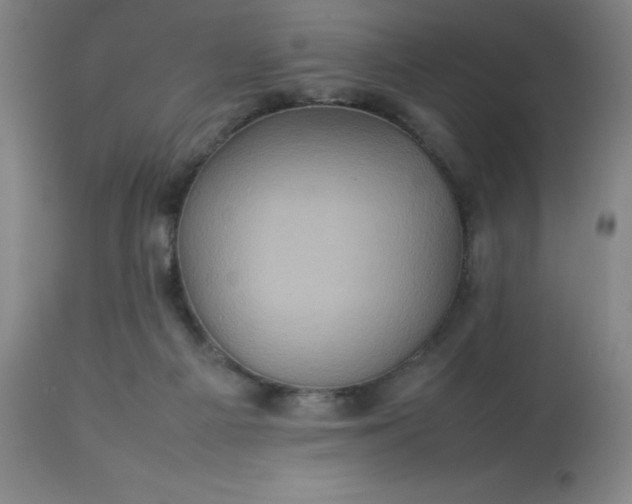 X0000113640121200910021926