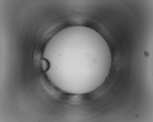 X0000113640122200910021926