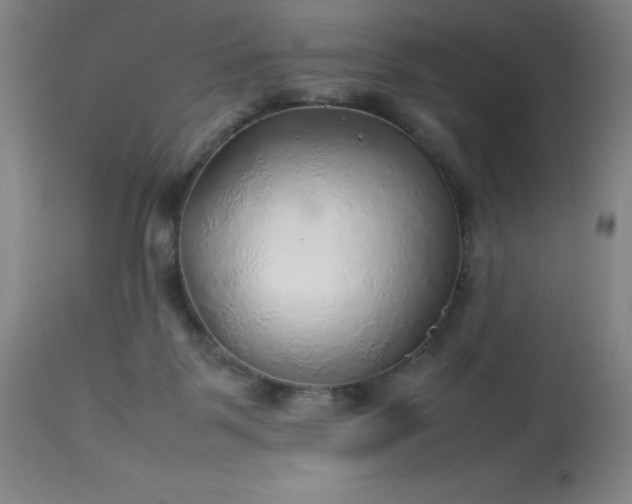 X0000113640123200910021926