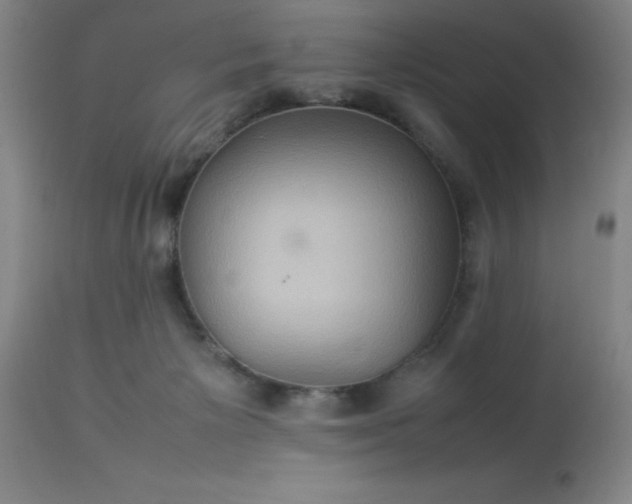 X0000113640125200910021926