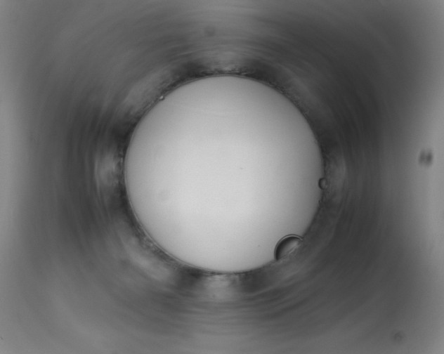 X0000113640126200910021926