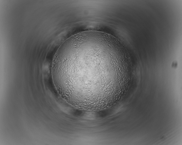 X0000113640127200910021926