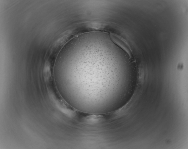 X0000113640128200910021926