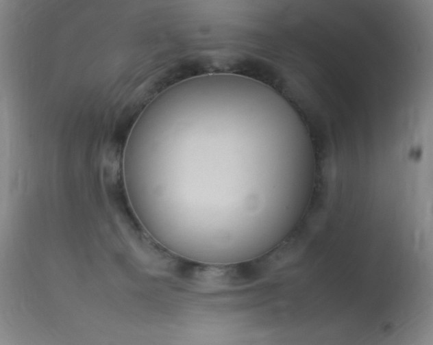 X0000113640129200910021926