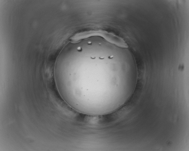 X0000113640131200910021926