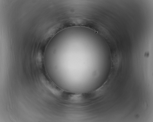 X0000113640132200910021926