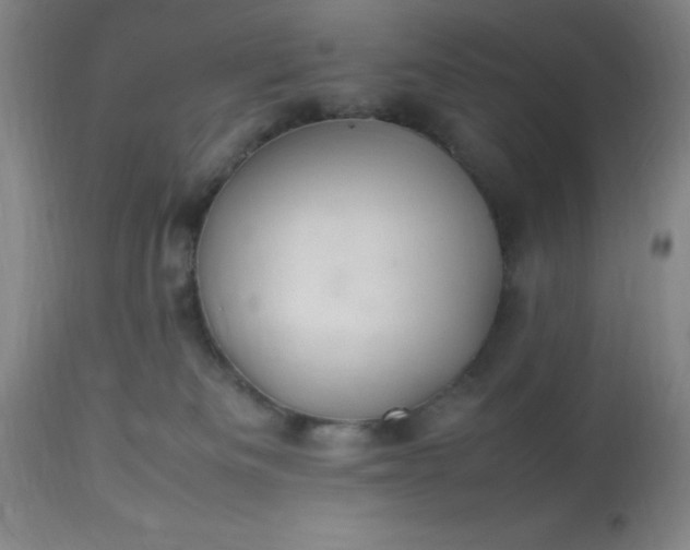 X0000113640133200910021926