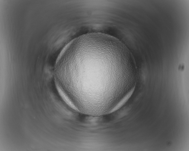 X0000113640135200910021926