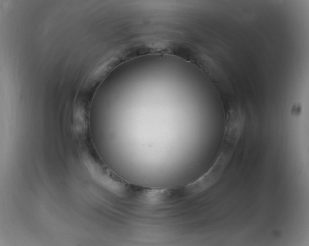 X0000113640136200910021926