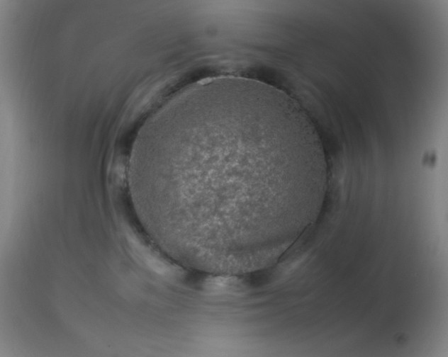 X0000113640137200910021926