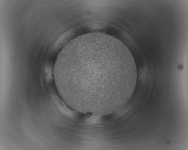 X0000113640138200910021926