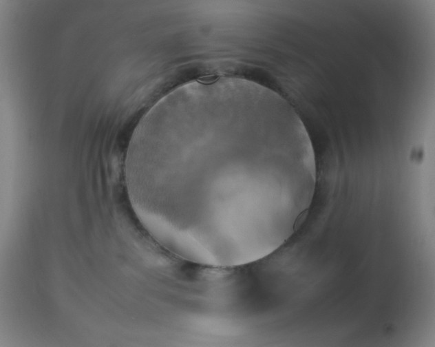 X0000113640139200910021926