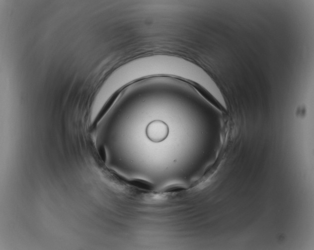 X0000113640140200910021926