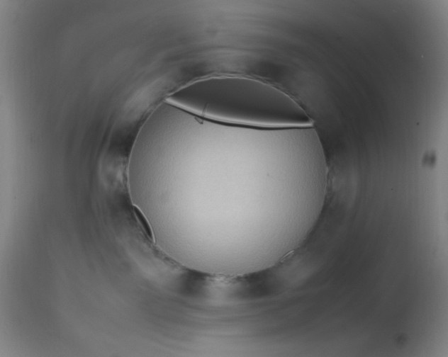 X0000113640141200910021926