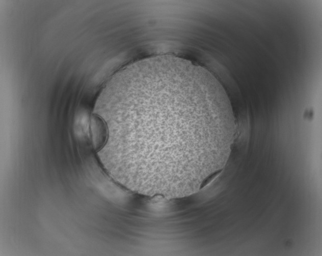 X0000113640142200910021926