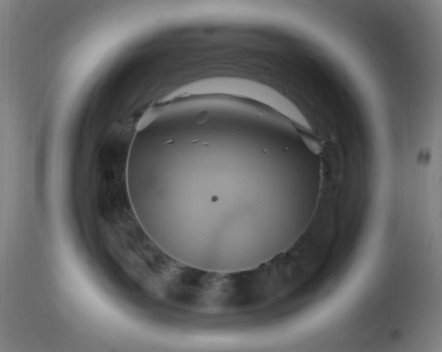 X0000113640143200910021926