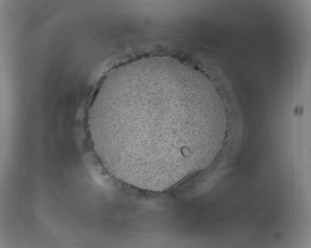 X0000113640144200910021926