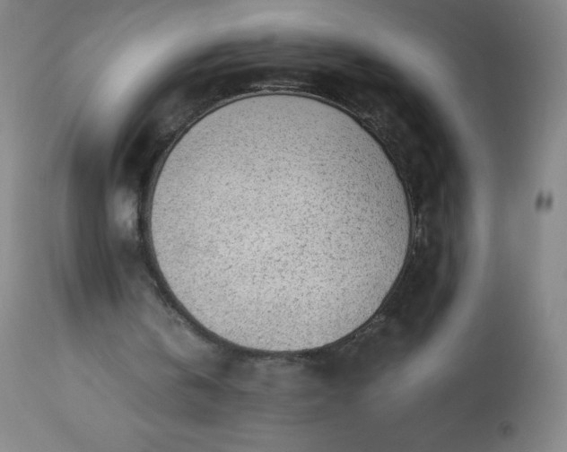 X0000113640146200910021925