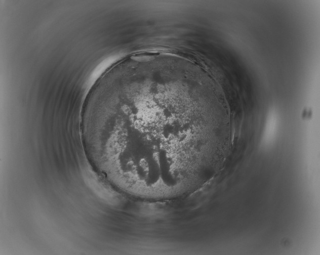 X0000113640147200910021925