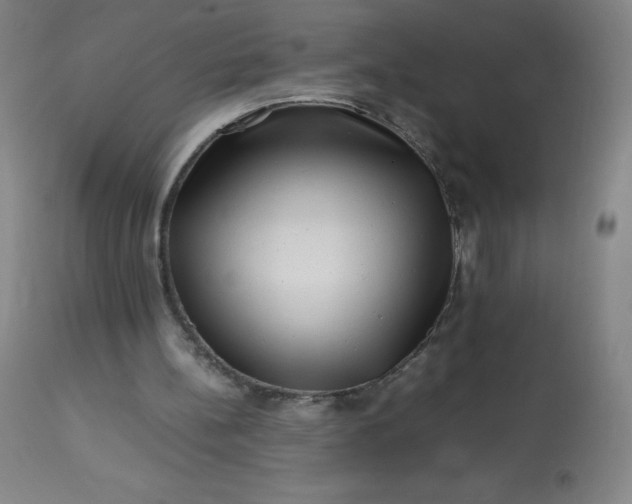 X0000113640148200910021925