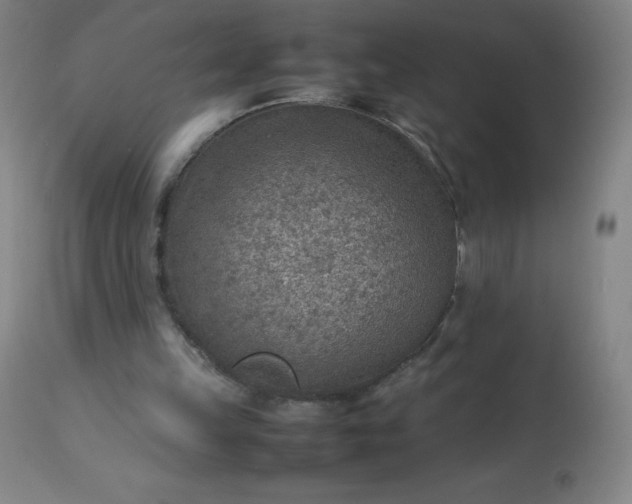 X0000113640149200910021925