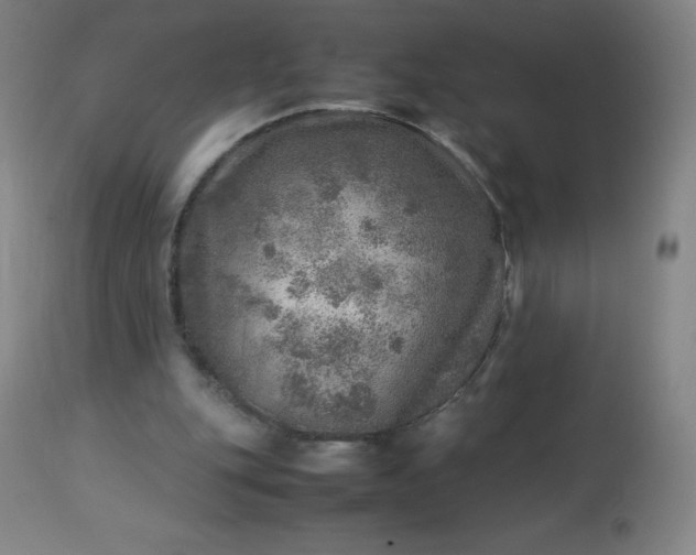 X0000113640151200910021925