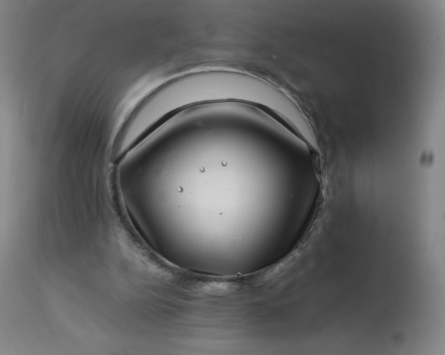 X0000113640152200910021925