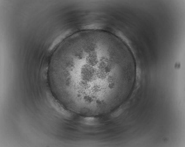 X0000113640153200910021925