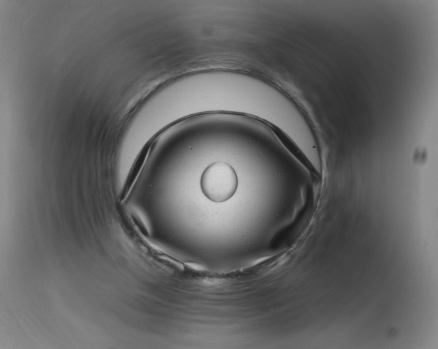 X0000113640154200910021925