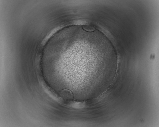 X0000113640155200910021925