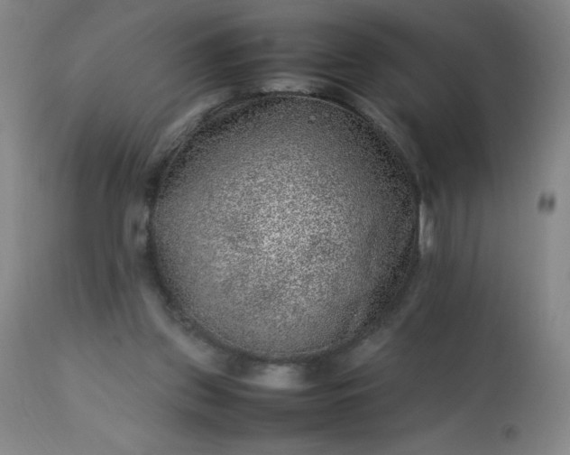 X0000113640157200910021925