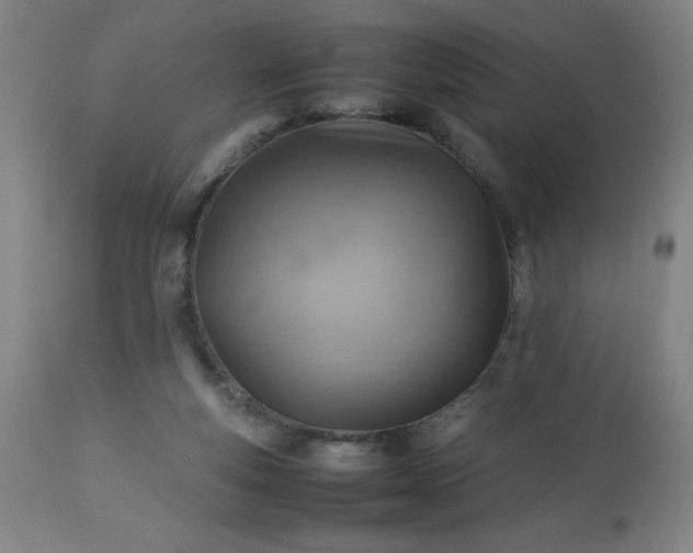 X0000113640163200910021925