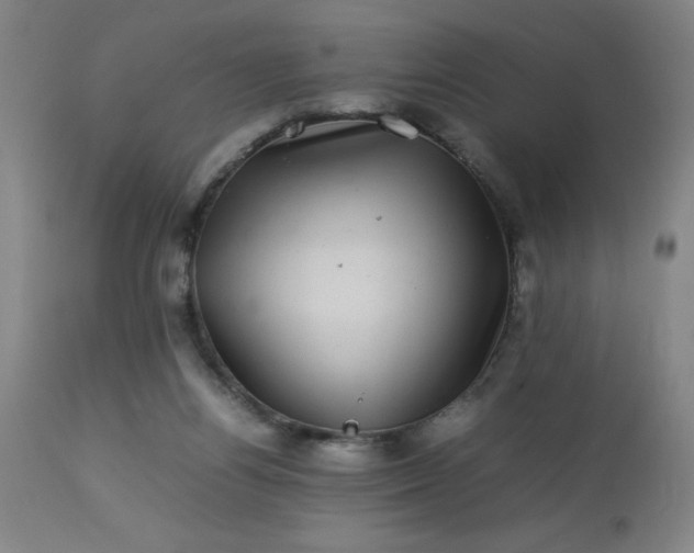 X0000113640164200910021925