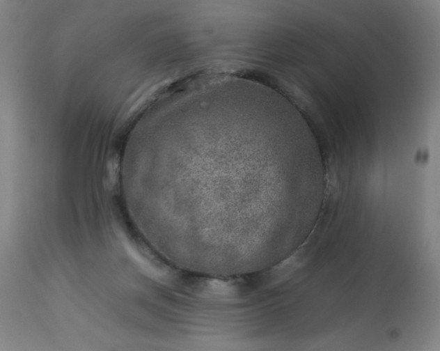 X0000113640166200910021925