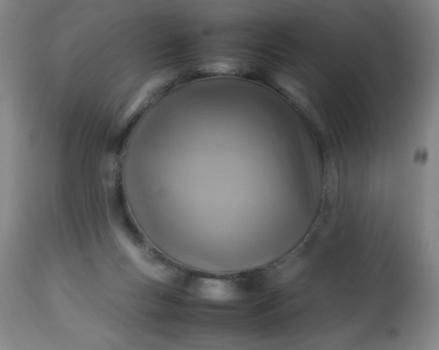 X0000113640167200910021925