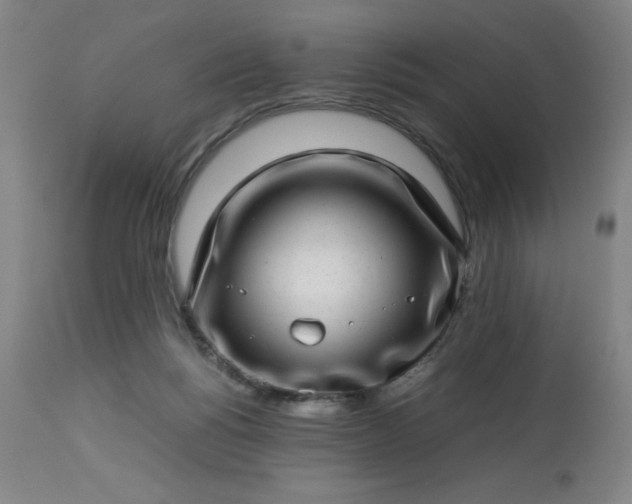 X0000113640168200910021925