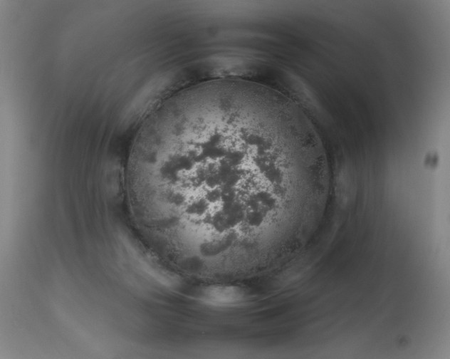 X0000113640169200910021925