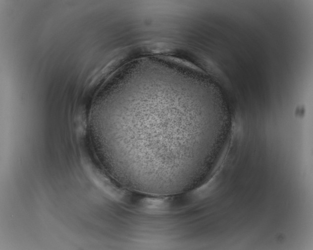 X0000113640170200910021925