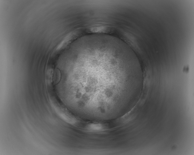 X0000113640171200910021925