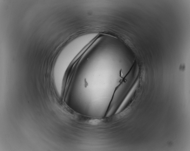 X0000113640172200910021925