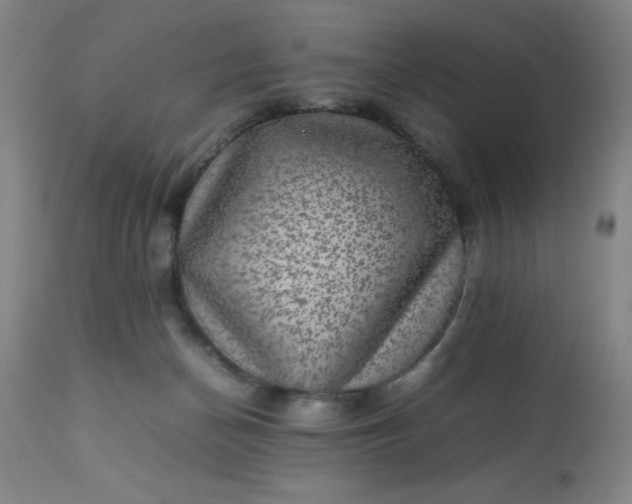 X0000113640174200910021925