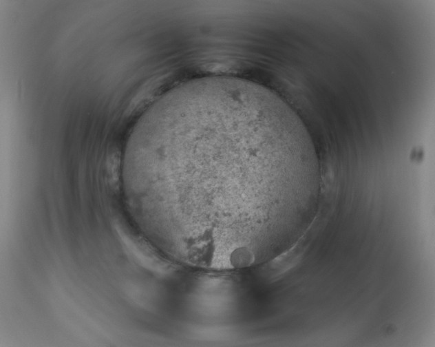 X0000113640175200910021925