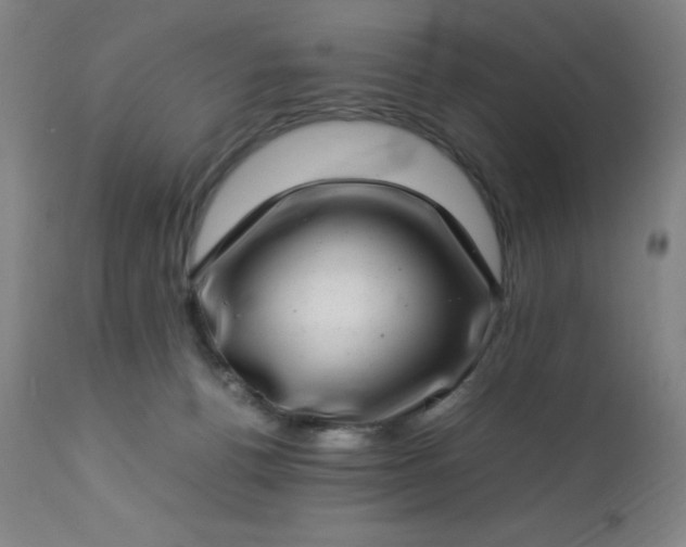 X0000113640176200910021925