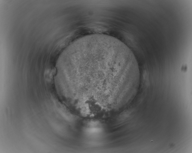 X0000113640177200910021925