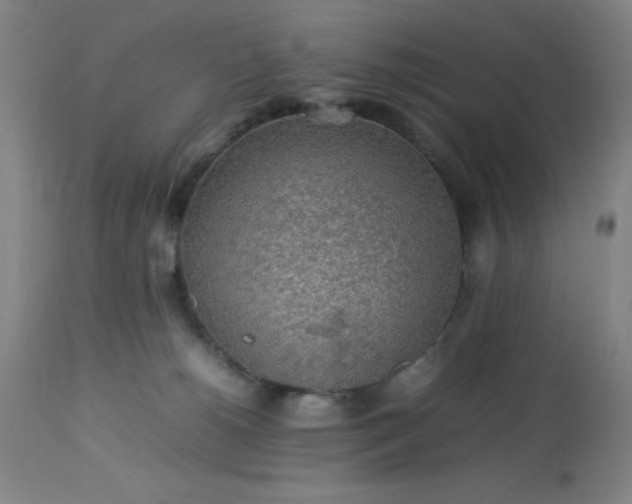 X0000113640180200910021925